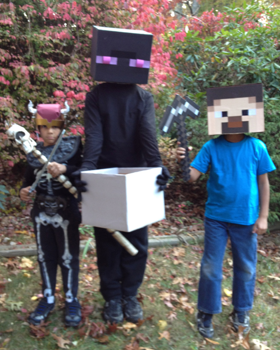 Minecraft Creeper Steve Costume